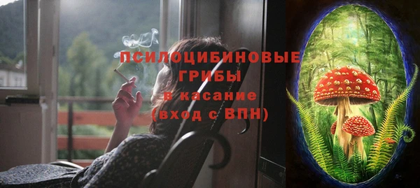 ПСИЛОЦИБИНОВЫЕ ГРИБЫ Сосновоборск